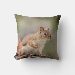Rotes Eichhörnchen Kissen