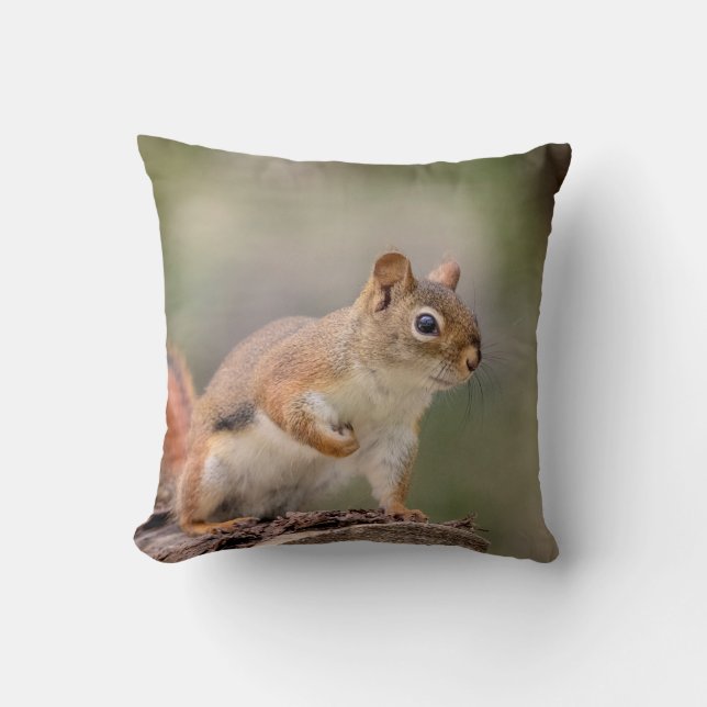 Rotes Eichhörnchen Kissen (Vorderseite)