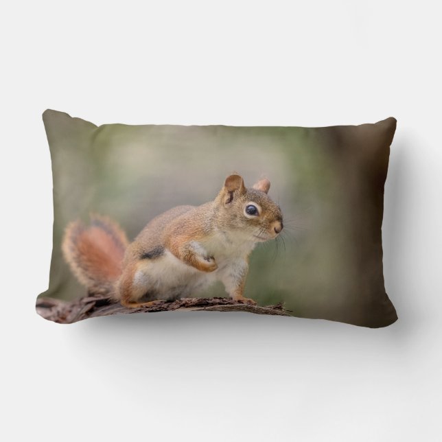 Rotes Eichhörnchen Lendenkissen (Vorderseite)
