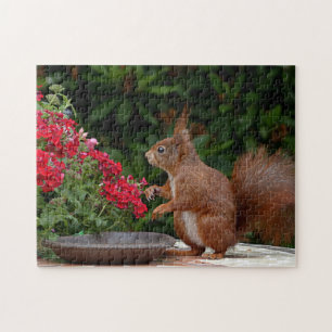 Rotes Eichhörnchen mit Roter Blume Bush Puzzle