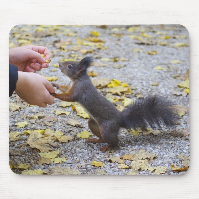 Rotes Eichhörnchen Mousepad (Vorne)