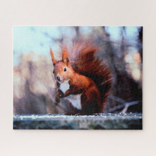 Rotes Eichhörnchen Nah, Jigsaw Puzzle