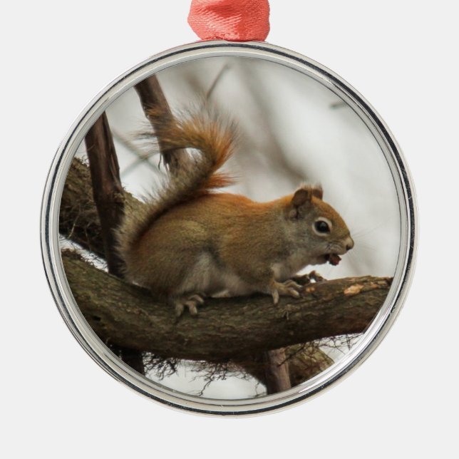 Rotes Eichhörnchen Ornament Aus Metall (Vorne)
