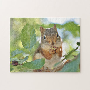 Rotes Eichhörnchen Puzzle