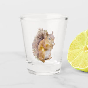 Rotes Eichhörnchen Schnapsglas