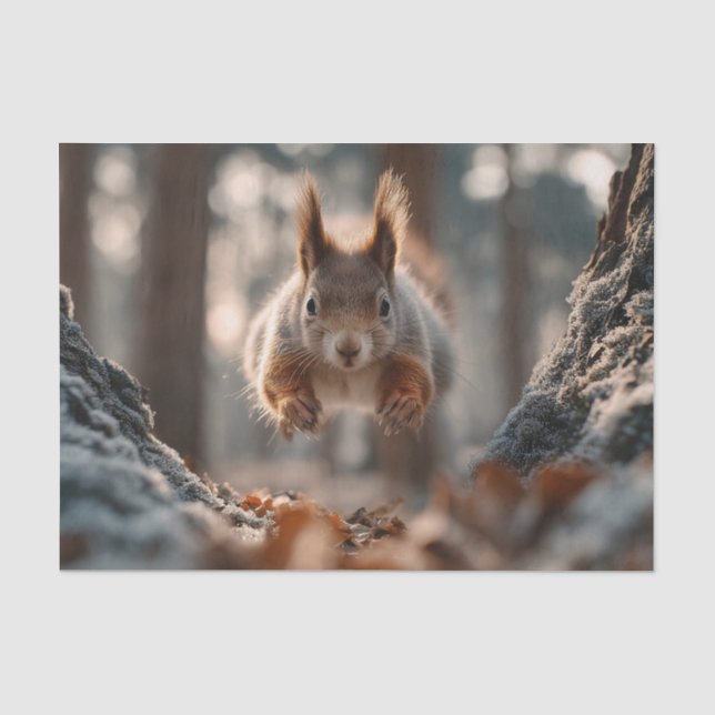 Rotes Eichhörnchen springt im frostigen Wald Seidenpapier (Vorderseite)