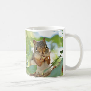 Rotes Eichhörnchen Tasse