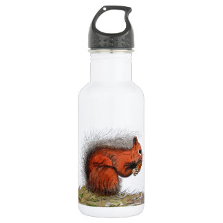 Rotes Eichhörnchen Trinkflasche