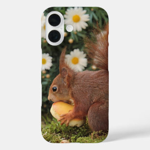 Rotes Eichhörnchen und Gänseblümchen Süßes Foto iPhone 16 Hülle
