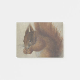 Rotes Eichhörnchen (von Hans Hoffmann) Post-it Klebezettel