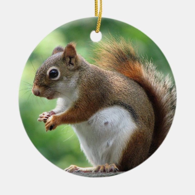 Rotes Eichhörnchen-Weihnachtsverzierung Keramikornament (Vorne)