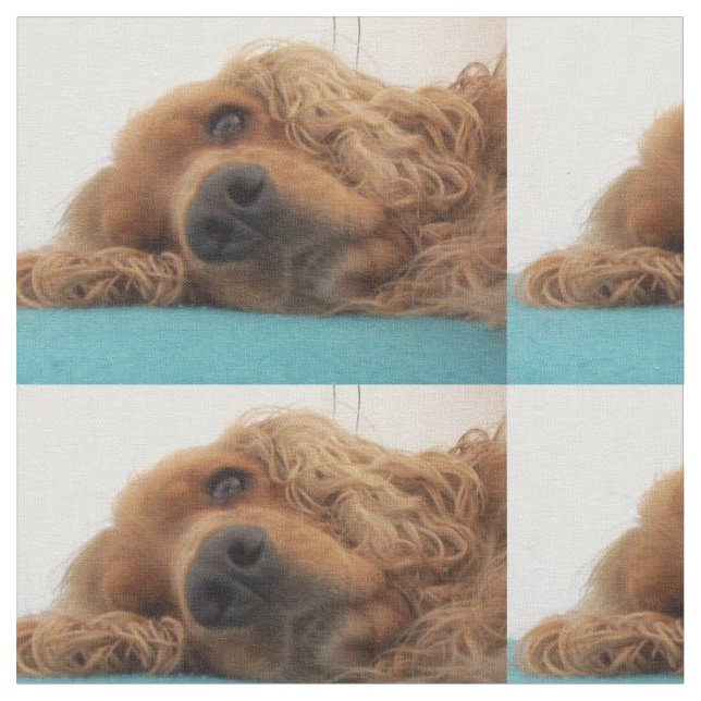 rotes Englisch cocker spaniel 2.png Stoff (Nahaufnahme)