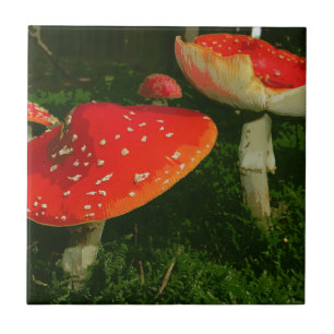 Rotes Fliegen-Blätterpilz-Wulstling Muscaria Fliese