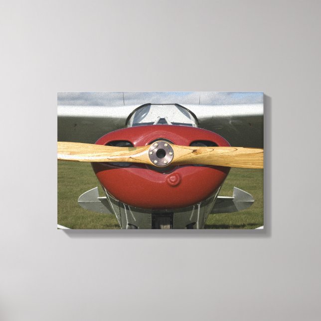 Rotes Flugzeug und Holzschrauber Leinwanddruck (Vorderseite)