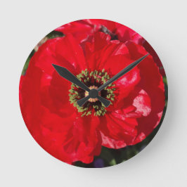 Rotes Foto einer wunderschönen Mohn-Blume Runde Wanduhr