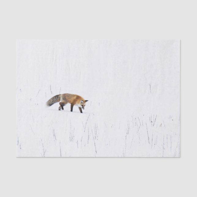 ROTES FOX AUF SCHNEETISSUPAPIER SEIDENPAPIER (Vorderseite)