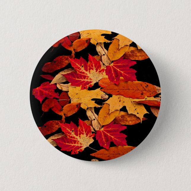 Rotes gelbes orange Herbst-Blätter Browns Button (Vorderseite)