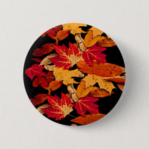 Rotes gelbes orange Herbst-Blätter Browns Button