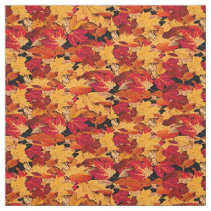 Rotes gelbes orange Herbst-Blätter Browns Stoff