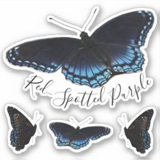 Rotes Gepunktetes Lila Butterfly-Set Aufkleber