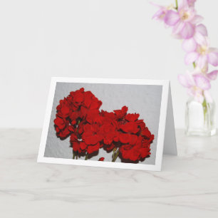 Rotes Geranium-Blume, Blumenportrait Karte