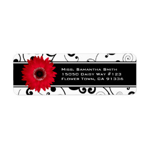Rotes Gerbera-Gänseblümchen-schwarze u. weiße