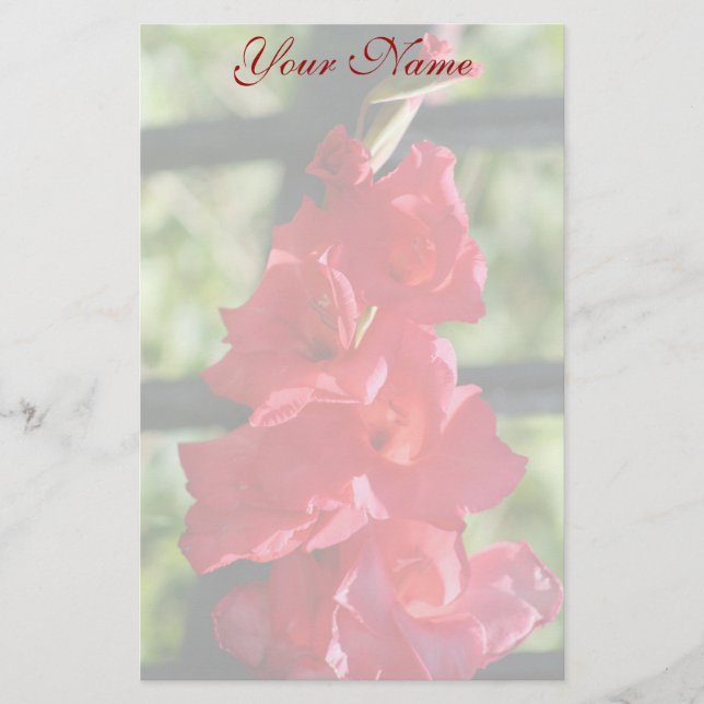 Rotes Gladiola stationär Briefpapier (Vorderseite)