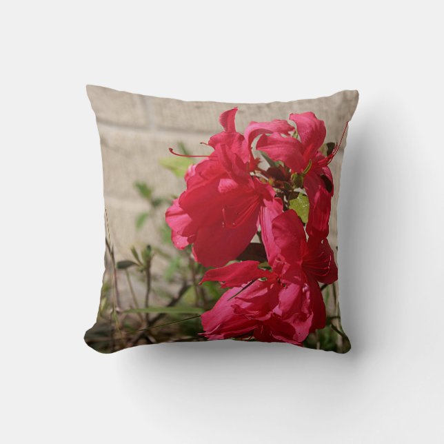 Rotes Gladiolas Frühlings-Blüten-Wurfs-Kissen Kissen (Vorderseite)