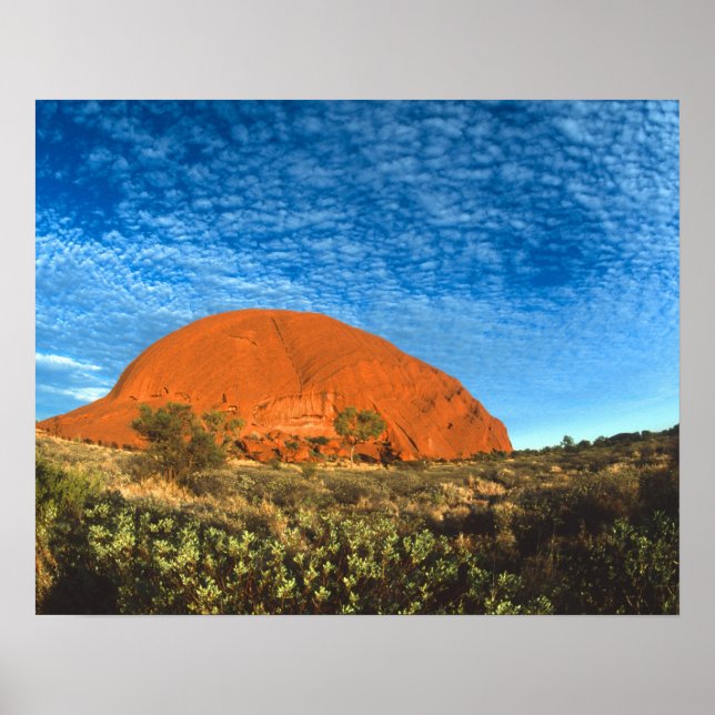 Rotes Glühen des berühmten Ayers Rock im Freien Poster (Vorne)