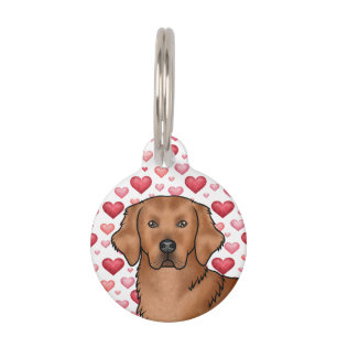 Rotes Golden Retriever Dog Portrait mit Niedlichen Haustiermarke