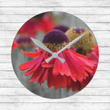 Rotes Helenium in selektiven Farben - desaturiert