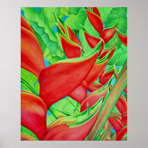 Rotes Heliconia Poster