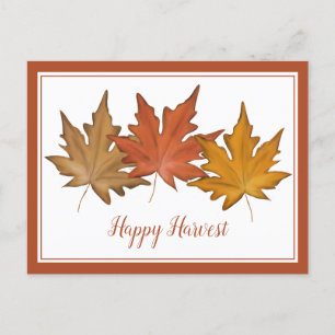 Rotes Herbst-Ahornblatt Elegante Natur Ernte Feiertagspostkarte