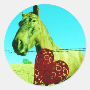Rotes Herz und Pferd Runder Aufkleber