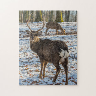 Rotes Hirsch im Schnee Puzzle