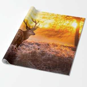 Rotes Hirsch in der Morgensonne. Hirsche, Tiere, w Geschenkpapier