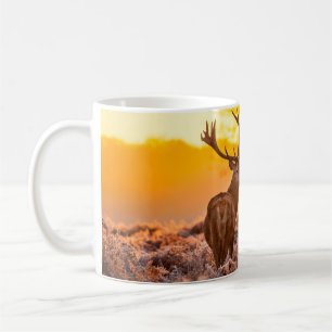 Rotes Hirsch in der Morgensonne. Hirsche, Tiere, w Kaffeetasse