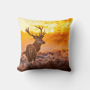 Rotes Hirsch in der Morgensonne. Hirsche, Tiere, w Kissen