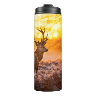 Rotes Hirsch in der Morgensonne. Hirsche, Tiere, w Thermosbecher