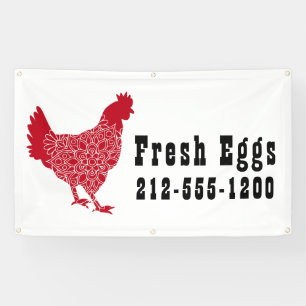 Rotes Hühnchen Frische Eier Außenbereich Banner