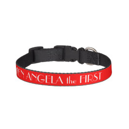 Rotes Hundehalsband Personalisiert Haustierhalsband