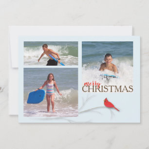 Rotes Kardinals-Doppeltes versah MULTI Foto-Karte Feiertagskarte