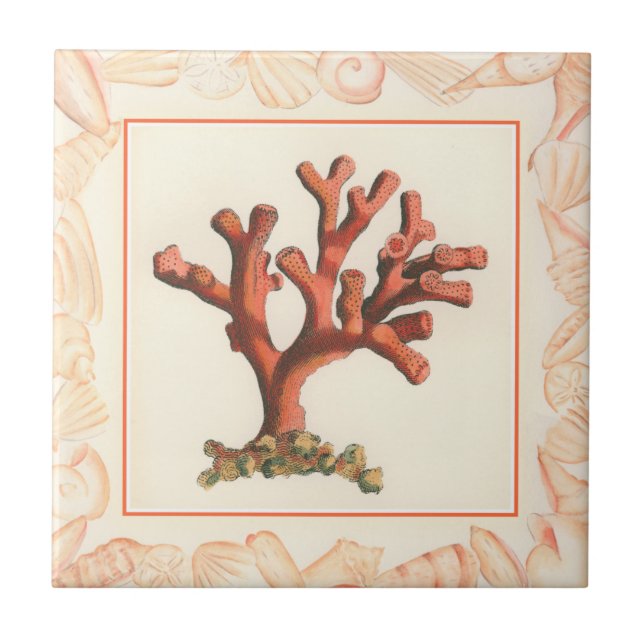 Rotes Korallenriff mit Conch-Muschel-Grenze Fliese (Vorderseite)