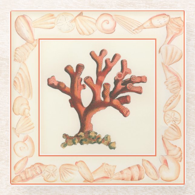 Rotes Korallenriff mit Conch-Muschel-Grenze Glasuntersetzer (Vorderseite)