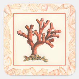 Rotes Korallenriff mit Conch-Muschel-Grenze Quadratischer Aufkleber