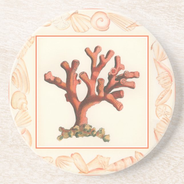 Rotes Korallenriff mit Conch-Muschel-Grenze Sandstein Untersetzer (Vorne)