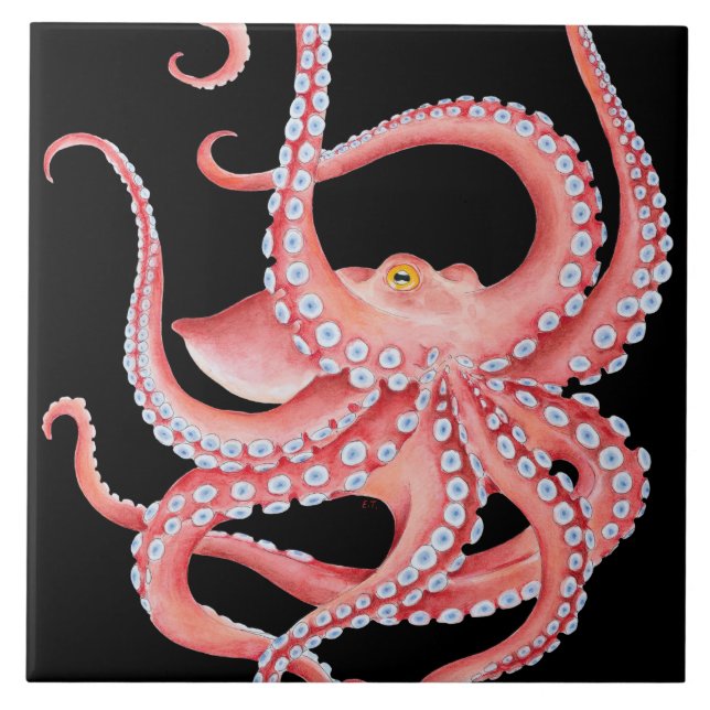 Rotes Kraken-Aquarell auf Schwarzem Fliese (Vorderseite)