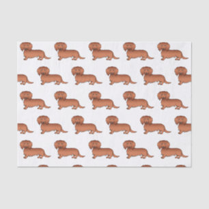 Rotes langhaariges Dachshund süßes Cartoon-Hund-Mu Seidenpapier