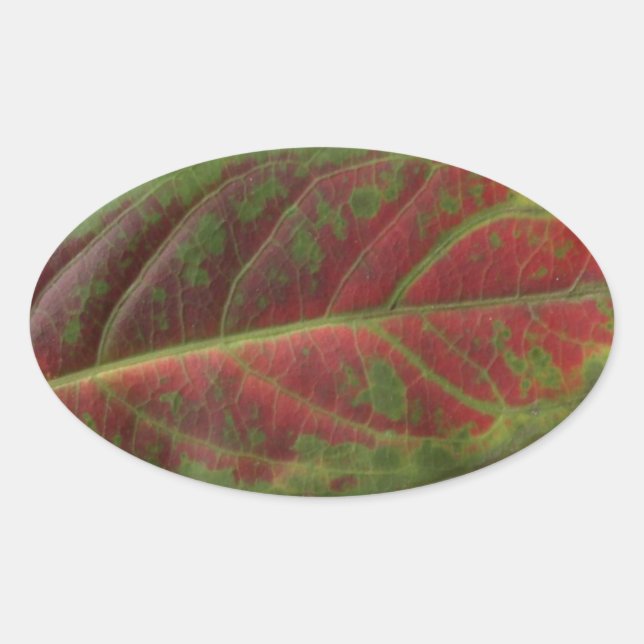Rotes Leaf, ovaler Aufkleber, Dichtscheibe, Etiket Ovaler Aufkleber (Vorderseite)