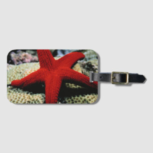 Rotes Meer der Stern-Fisch- Gepäckanhänger